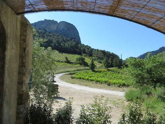 Domaine De Cassan Villa Lafare Eksteriør billede